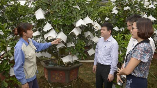 <a href="/kinh-te/xay-dung-nong-thon-moi" title="Xây dựng nông thôn mới" rel="dofollow">Xây dựng nông thôn mới</a>