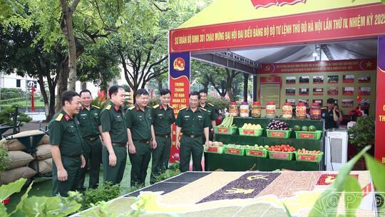 <a href="/quoc-phong-an-ninh/xay-dung-don-vi" title="Xây dựng đơn vị" rel="dofollow">Xây dựng đơn vị</a>