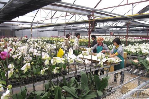 Thực hiện chính sách thử nghiệm có kiểm soát trên địa bàn thành phố Hà Nội